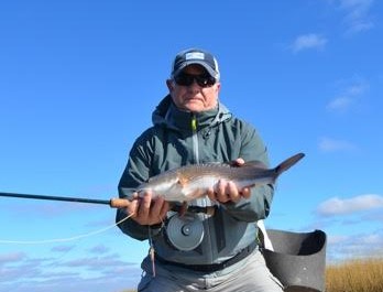 woodland-red-cropped