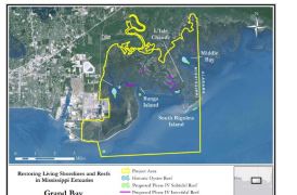 grandbay reef restoration